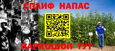 СК Бийск