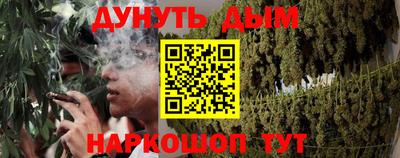 СК Бийск