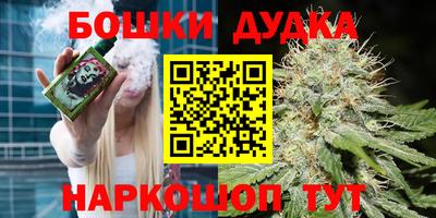 СК Бийск