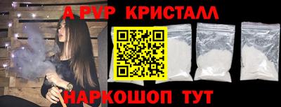 СК Бийск