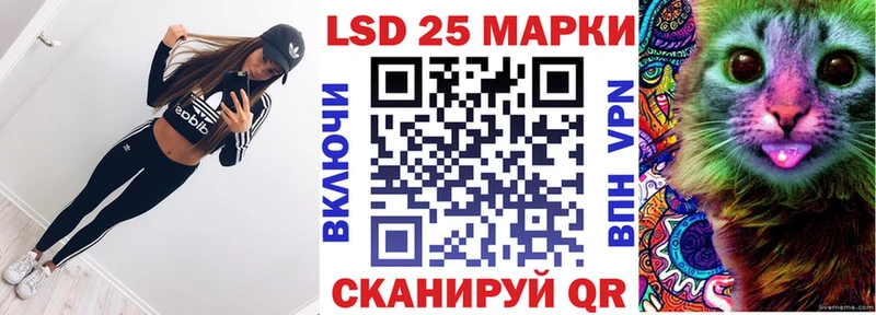 дарк нет клад купить наркотик Бийск Марки NBOMe 1,8мг