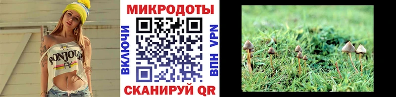 Псилоцибиновые грибы GOLDEN TEACHER  Бийск 