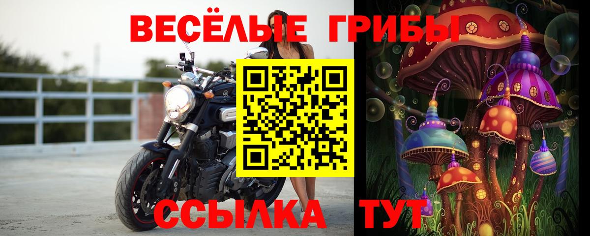 Галлюциногенные грибы Cubensis  Галлюциногенные грибы мицелий  Бийск  Вход с VPN 